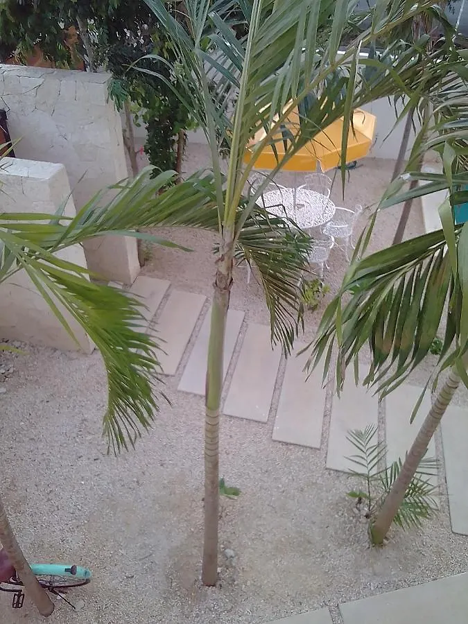 Posada Tumben Ka'A Tulum Pueblo